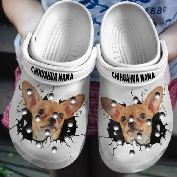 chihuahua mama in hole crocs classic clogs 3wiyb